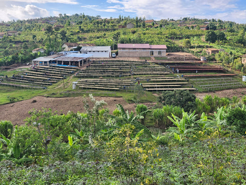 Cupping · Ruanda-Special