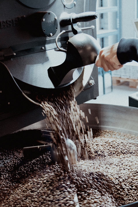 Rösterei Tour + Cupping