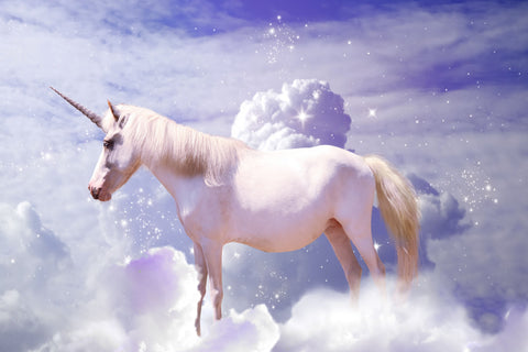 Das Einhorn: Die Idee dahinter