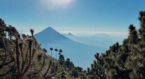 Special-Cupping · Zentralamerika