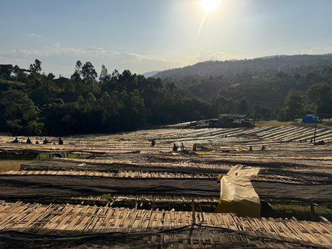 Special-Cupping · Sommerlich fruchtig