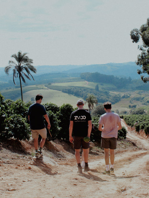 zwookaffee in Brasilien, Ocafi, Fazenda Tres Barras, Fazenda Matao, Specialty coffee Landschaft Brasilien